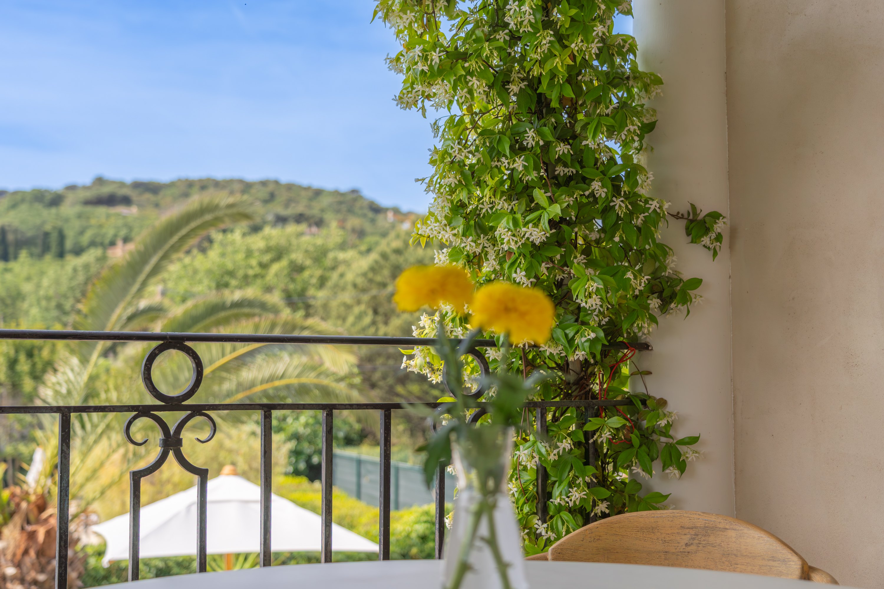 Terrasse avec vue